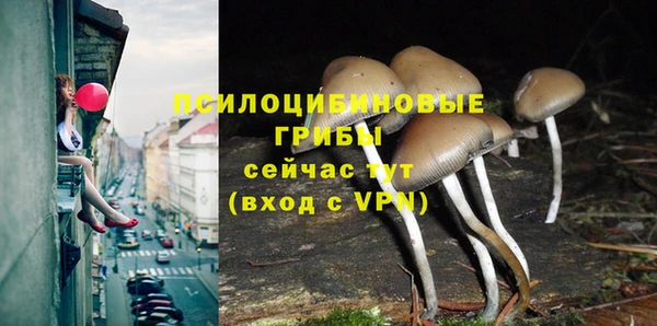 прущая мука Киренск